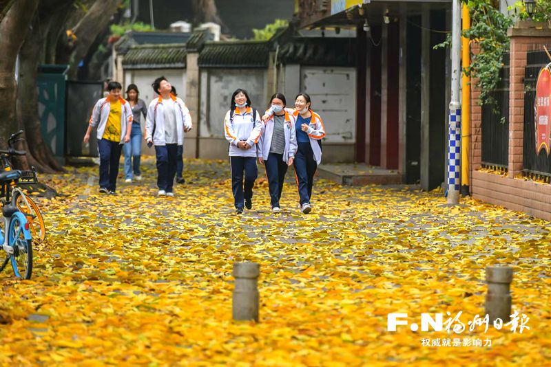 “碧云天黃葉地”為何春日出現？業內人士：南方常綠樹恰好此時換葉